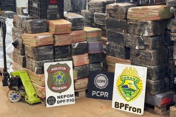 apreensao de maconha no paraná