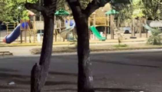 https://storage.unicanews.com.br/storage/webdisco/2025/08/07/560x420/0aff6865296fea7adcecb8f32e677426.png